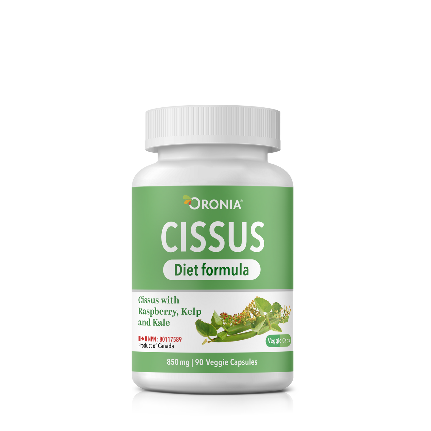 Cissus Diet Formula