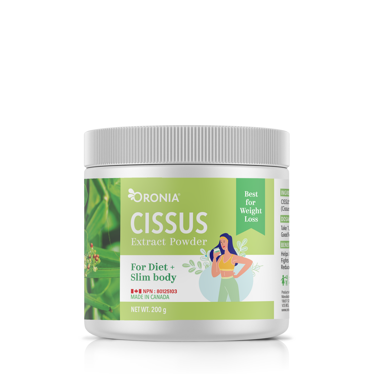 Cissus Extract Powder