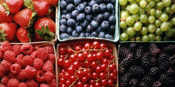 Top 10 High Antioxidant Foods